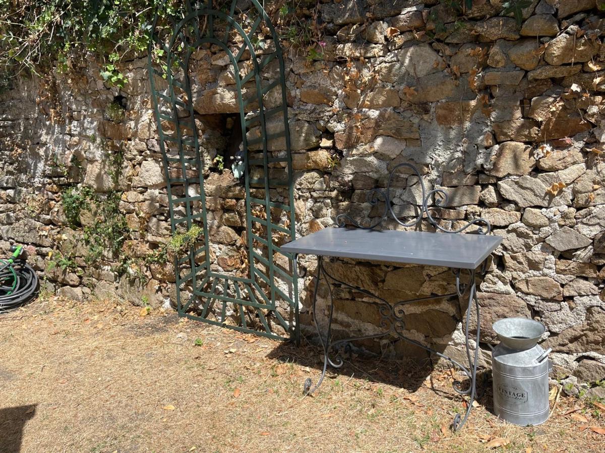 Le Patio, Coeur De Ville Avec Garage Et Jardin Vannes Exteriér fotografie